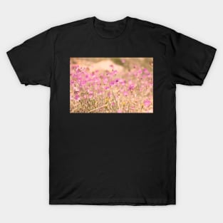 Wild pink meadow flowers, nature photography, delicate colors T-Shirt